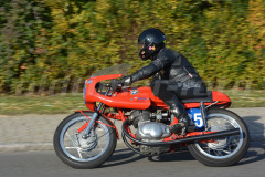 Hammerstatt_2015_2841