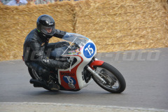 Hammerstatt_2015_4111