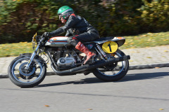 Hammerstatt_2015_5679