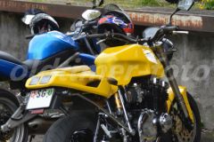 Oil_leak_rumble_2015_6328