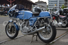 Oil_leak_rumble_2015_6347