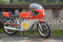 Oil_leak_rumble_2015_6440