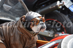 Oil_leak_rumble_2015_6466