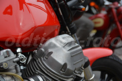 OLR_2_2015_0195