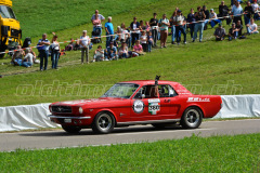 Steckborn_2018_DSC_2758