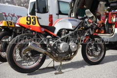 Mollis_2019_1889