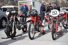 Mollis_2019_1892
