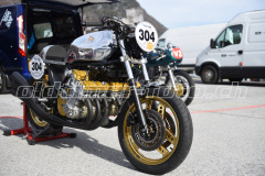 Mollis_2019_1893