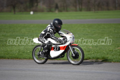 Mollis_2019_1910