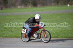 Mollis_2019_1913