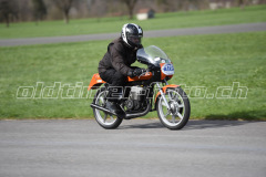 Mollis_2019_1915