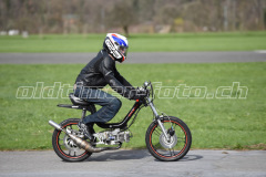 Mollis_2019_1926