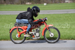 Mollis_2019_1964