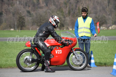 Mollis_2019_2020