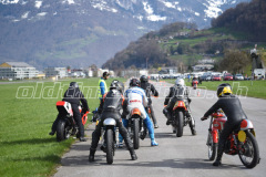 Mollis_2019_2026