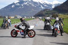 Mollis_2019_2031