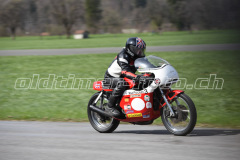 Mollis_2019_2157