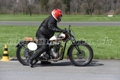 Mollis_2019_2246