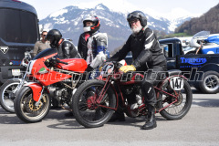Mollis_2019_2292