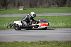Mollis_2019_2311