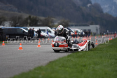 Mollis_2019_2432