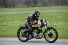 Mollis_2019_2480