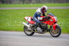 Mollis_2019_2537