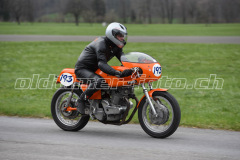 Mollis_2019_2540