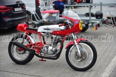 FAM_EF_Mollis_2023_0010