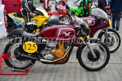 FAM_EF_Mollis_2023_0037