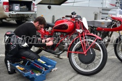 FAM_EF_Mollis_2023_0038