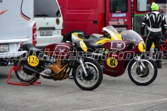 FAM_EF_Mollis_2023_0193