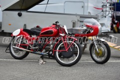 FAM_EF_Mollis_2023_0194