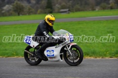 FAM_EF_Mollis_2023_0203