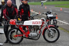 FAM_EF_Mollis_2023_0207