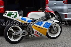 FAM_EF_Mollis_2023_0209