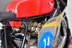 FAM_EF_Mollis_2023_0280