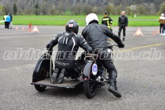 FAM_EF_Mollis_2023_0282