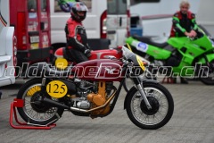 FAM_EF_Mollis_2023_0291