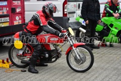 FAM_EF_Mollis_2023_0293