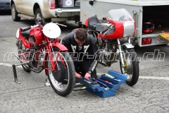 FAM_EF_Mollis_2023_0296