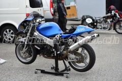 FAM_EF_Mollis_2023_0298