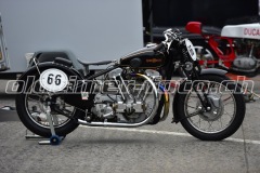 FAM_EF_Mollis_2023_0299