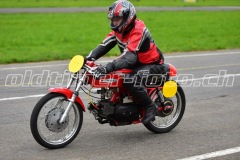 FAM_EF_Mollis_2023_0302