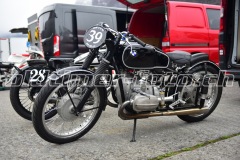 FAM_EF_Mollis_2023_0308