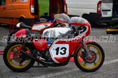 FAM_EF_Mollis_2023_0311