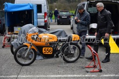 FAM_EF_Mollis_2023_0318