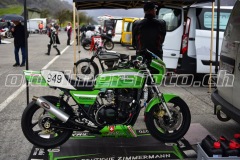 FAM_EF_Mollis_2023_0322