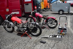 FAM_EF_Mollis_2023_0323