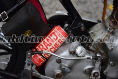 FAM_EF_Mollis_2023_0325